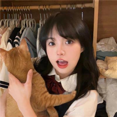 追梦小海豚